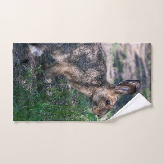 Lapin Brown, Repos dans la nature, Faune (Serviette à main)