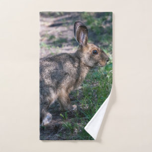 Lapin Brown, Repos dans la nature, Faune