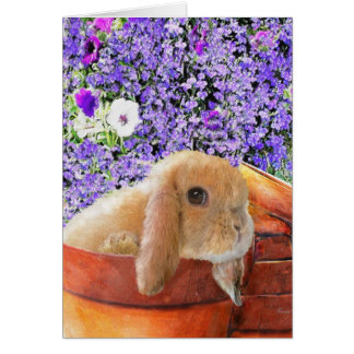 lapin dans la carte des pots de fleurs