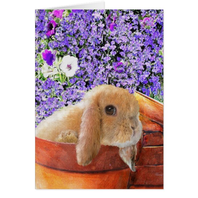 lapin dans la carte des pots de fleurs (Devant)