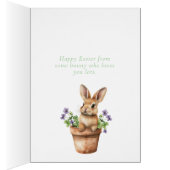 Lapin dans un panier avec des coussins de trèfle e (Intérieur (Droit))