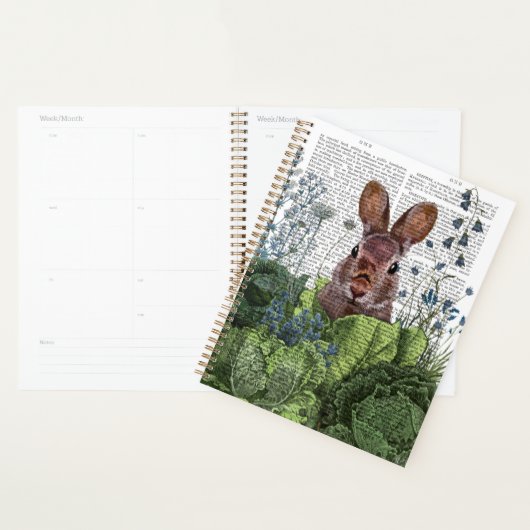 Lapin dans une patte de chou (Devant avec enveloppe)