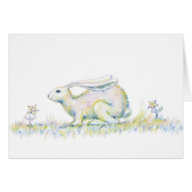 Lapin d'arc-en-ciel (Devant horizontal)