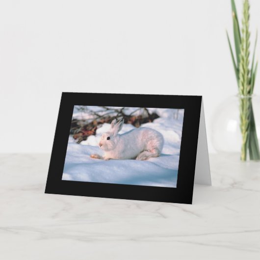 Lapin de blanc de carte de vacances de (Devant)