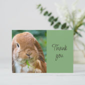 Lapin de compagnie drôle et mignon Merci (Debout devant)