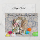 Lapin de Pâques de Buffington - Carte plate - Chat (Devant / Derrière)