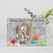 Lapin de Pâques de Buffington - Carte plate - Chat (Debout devant)