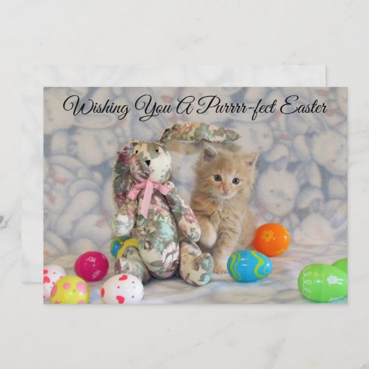 Lapin de Pâques de Buffington - Chat - Carte plate (Devant / Derrière)