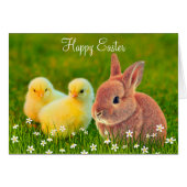 Lapin de Pâques & poussins avec des fleurs (Devant horizontal)