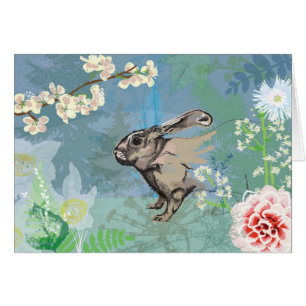 lapin de région boisée