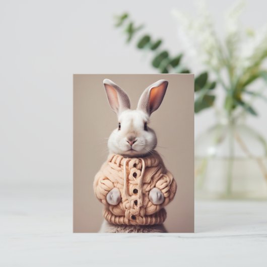 Lapin en pull, carte postale Postcrossing (Debout devant)