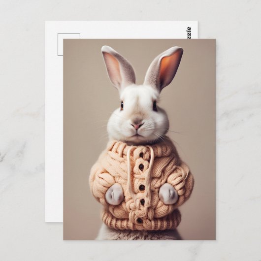Lapin en pull, carte postale Postcrossing (Devant / Derrière)