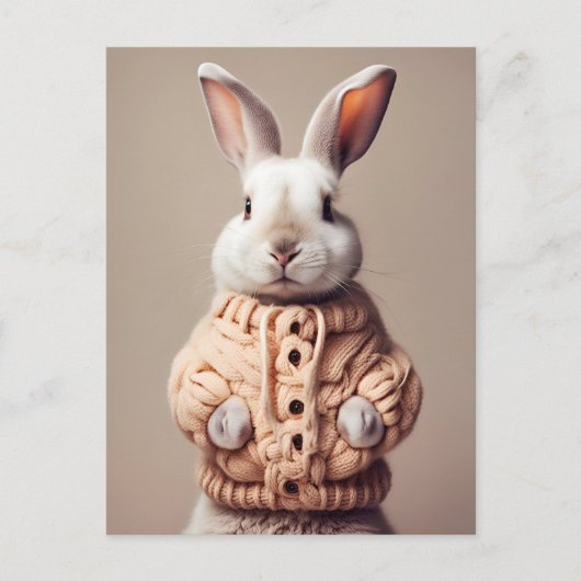 Lapin en pull, carte postale Postcrossing (Devant)