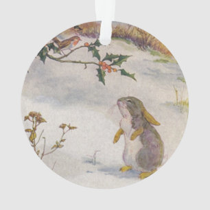 Lapin et image de cru de Robin