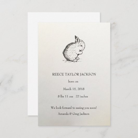 Lapin Faire-part de naissance, Classique, Traditio (Devant / Derrière)