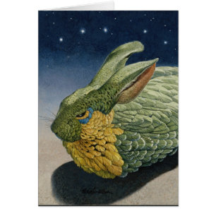 Lapin fait varier le pas la nuit avec des étoiles