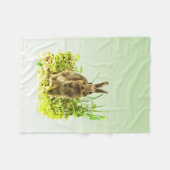 Lapin lapin dans la couverture en laiton (Devant (Horizontal))