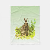 Lapin lapin dans la couverture en laiton (Devant)