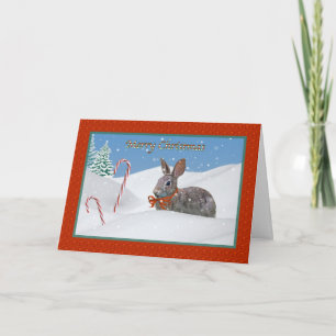 Lapin lapin et carte de Sucre de canne de Noël