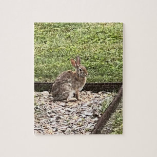 Lapin lapin sauvage assis sur le chemin puzzles