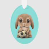 Lapin mignon de bébé avec du ballon de football du (devant)