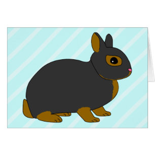 Lapin nain de Netherland
