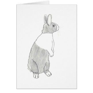 Lapin néerlandais debout (blanc à l'intérieur)