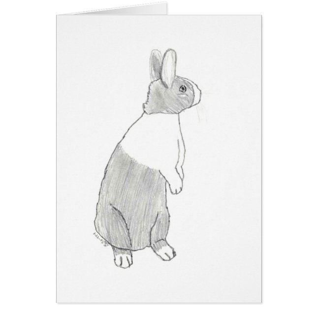 Lapin néerlandais debout (blanc à l'intérieur) (Devant)