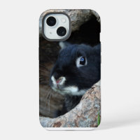 Lapin noir dans le creux d'un arbre