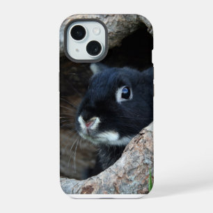 Lapin noir en creux d'un arbre