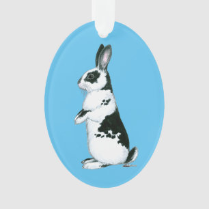 Lapin : Noir et Blanc