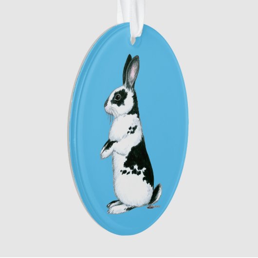 Lapin : Noir et Blanc (devant)