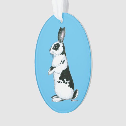 Lapin : Noir et Blanc (devant)