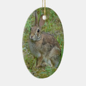 Lapin sauvage d'Amérique Ornement (Droite)