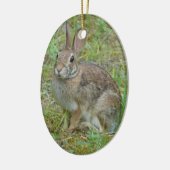 Lapin sauvage d'Amérique Ornement (Gauche)