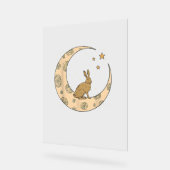 Lapin Sur Le Lapin Lune (Angle)