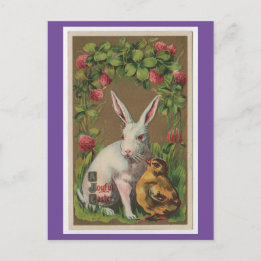Lapin vintage Avec Carte Postale Chick
