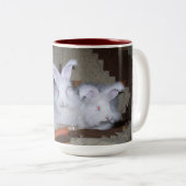 LAPINS ANGORAS ALLEMANDS CAFÉ ET TASSE DE CACAO (Devant droit)