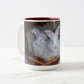 LAPINS ANGORAS ALLEMANDS CAFÉ ET TASSE DE CACAO (Devant gauche)