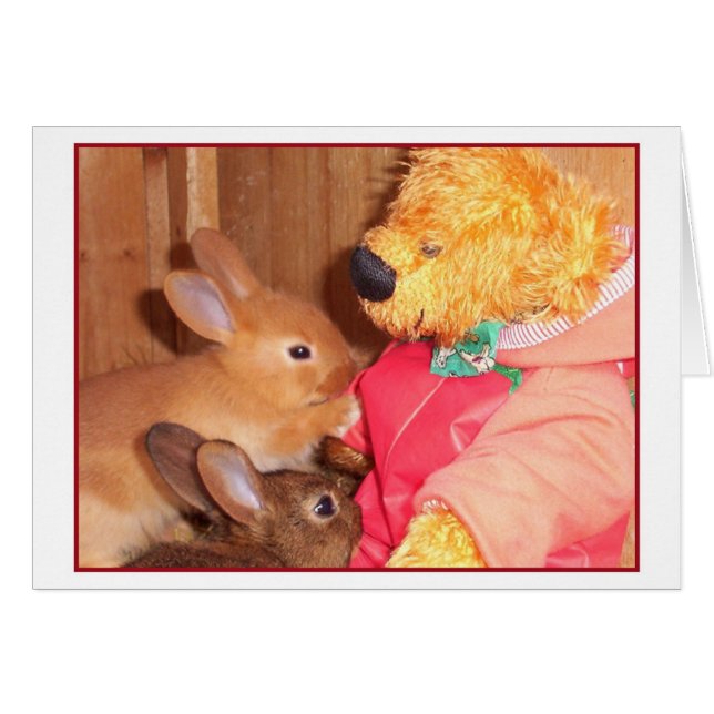 lapins de bébé d'amour de nounours petits (Devant horizontal)