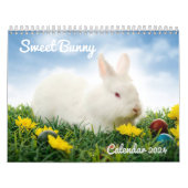 Lapins de lapin doux 2024 Calendrier (Protection)