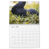 Lapins de lapin doux 2024 Calendrier (Mar 2027)