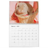 Lapins de lapin doux 2024 Calendrier (Feb 2027)
