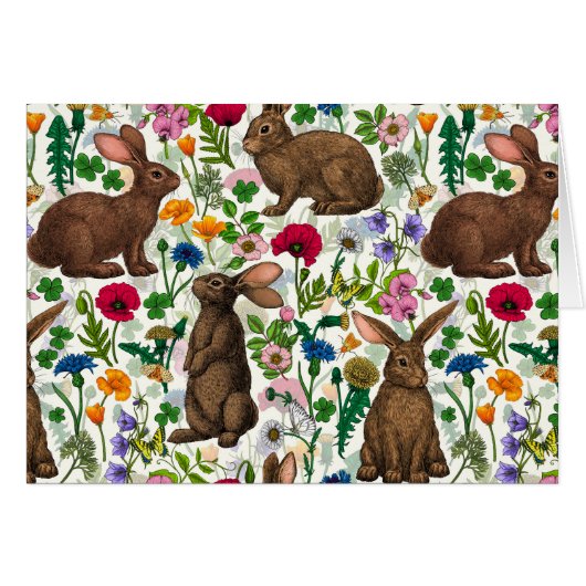 Lapins et fleur sauvage (Devant horizontal)