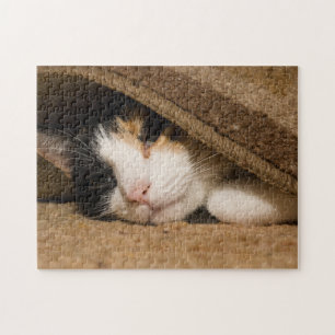 Lapjeskat Onder Het Kleed Legpuzzel