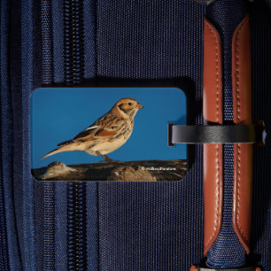 Lapland Longspur op een Sunlit Log Bagagelabel