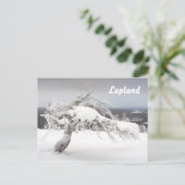 Lapland souvenir briefkaart (Staand voorkant)