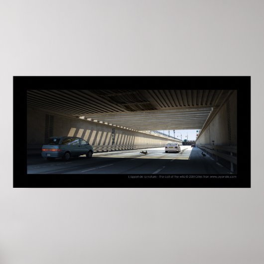 L'appel de la natuur - De roep van de wilde Poster (Voorkant)