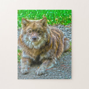 Lapphond. Legpuzzel