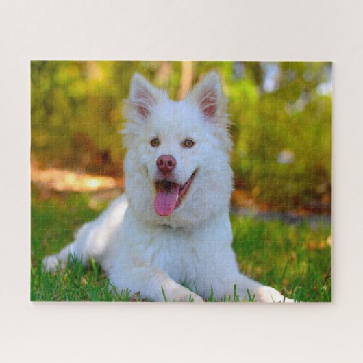 Lapphund Dog. Legpuzzel (Horizontaal)